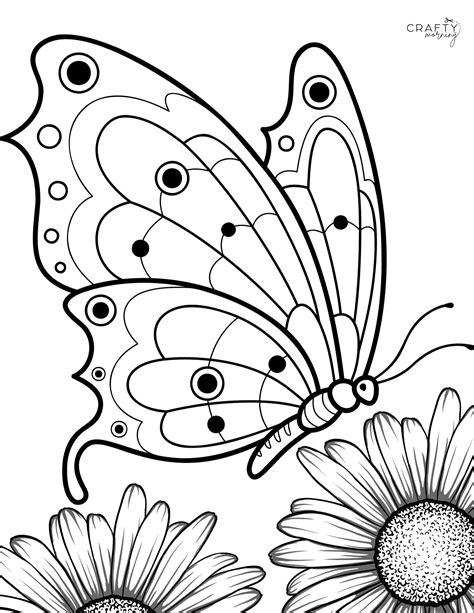 Butterflies Coloring Pages [2025]
