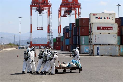 Image result for Simulation Exercise