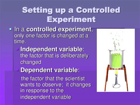Scientific Control 的图像结果