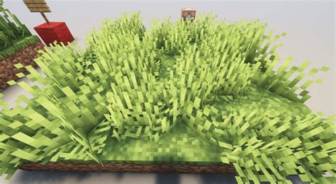 Tall Grass Minecraft