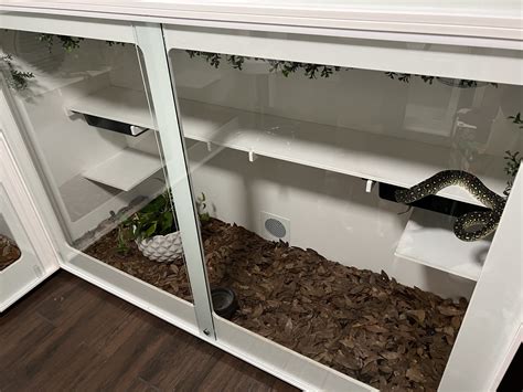 Image result for 15 Foot Python Enclosure