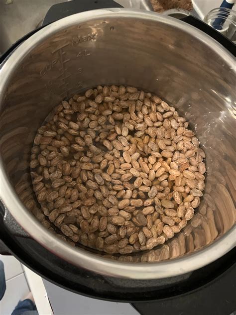 Easier To Digest Instant Pot Pinto Beans (With Quick Soak) — Willow Jarosh