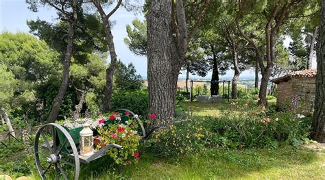 IL COLLE DELLE TERRAZZE (Fano) - Lodge Reviews, Photos, Rate Comparison ...