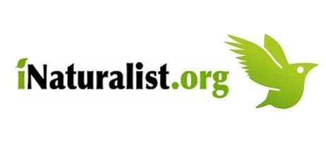 4th Sunday Nature Walk with Vince Hale, iNaturalist Ambassador-Using ...