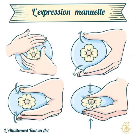 Hand Expression Colostrum 的图像结果