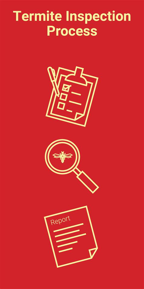 Termite Control Services - Dodson Pest Control