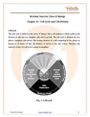 Biology Chapter 6 Anatomy of Flowering Plants Class 11 Notes - FREE PDF ...