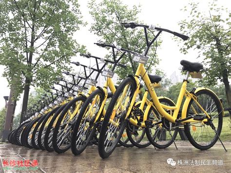 株洲有公共自行车 现在共享单车又来了！_其它_长沙社区通