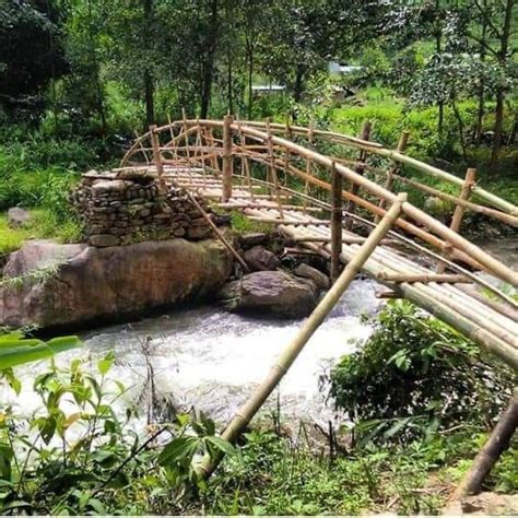 Why Visit Tabakoshi – An Offbeat Paradise in Darjeeling