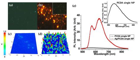 In Situ Enhanced Raman and Photoluminescence of Bio-Hybrid Ag/Polymer ...