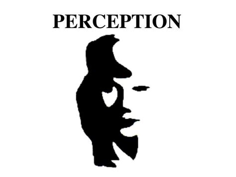 Image result for Different Kinds of Perception