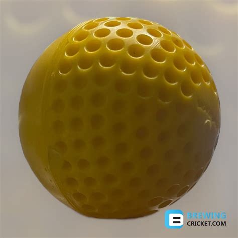 Leverage Reverse Swing Ball - Training Balls – www.brewingcricket.com