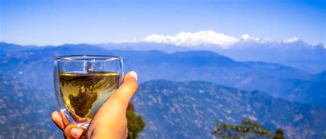 Authentic Indian Chai Sampler Variety