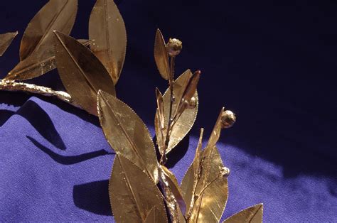 Golden Laurel Wreath Crown With Fruit Berries Ancient Greek Style Bay ...