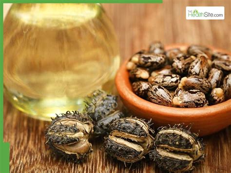 5 Best Ingredients To Mix With Castor Oil For Faster Hair Growth ...