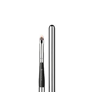 PROARTE RETRACTABLE LIP BRUSH PL-37 : Amazon.in: Beauty