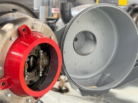 Unveiling Financial Viability for Biomass Pellet Projects