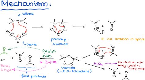 Ozonolysis Of Alkenes And Alkynes Chemistry Libretexts