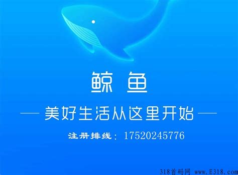 鲸鱼app是央企吗 鲸鱼短视频赚钱是真的吗安全吗 - 微星首码项目网