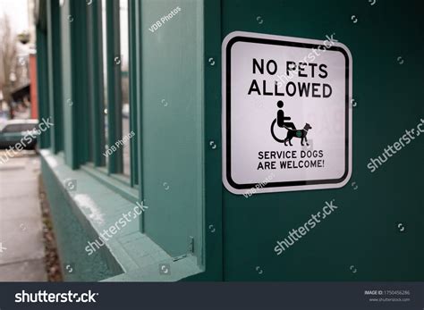 No Pets Allowed The Book
