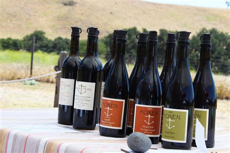 A day at Foxen Vineyard and Winery - BruinLife