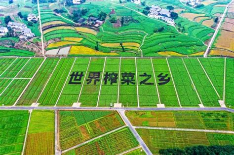 重庆涪陵综合保税区：打造长江上游重要开放口岸