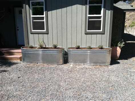Galvanized Water Trough As Planters at Kevin Marsh blog