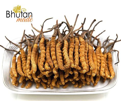 Pure Kishtwar Gucchi Kesar: Authentic Kashmiri Saffron - Pahadi Amrut