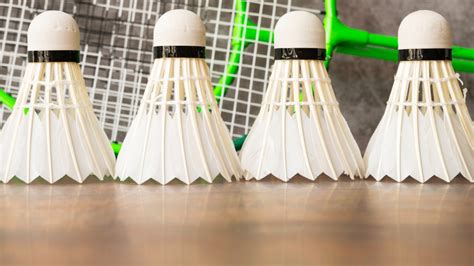 Badminton Equipment List 的图像结果