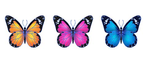 Image result for Invert Color InDesign