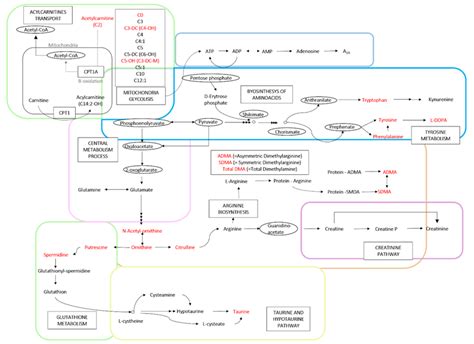 Biochemistry Process Map 的图像结果