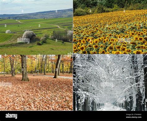 Spring Summer Fall Winter and Spring 的图像结果