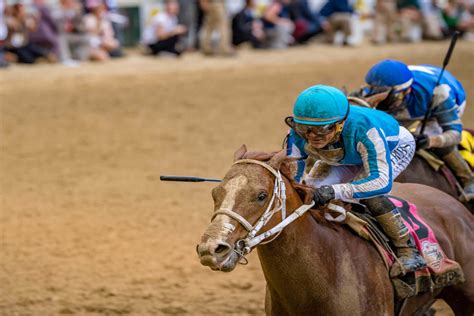 American Promise | Horses | Kentucky Derby Horse Information