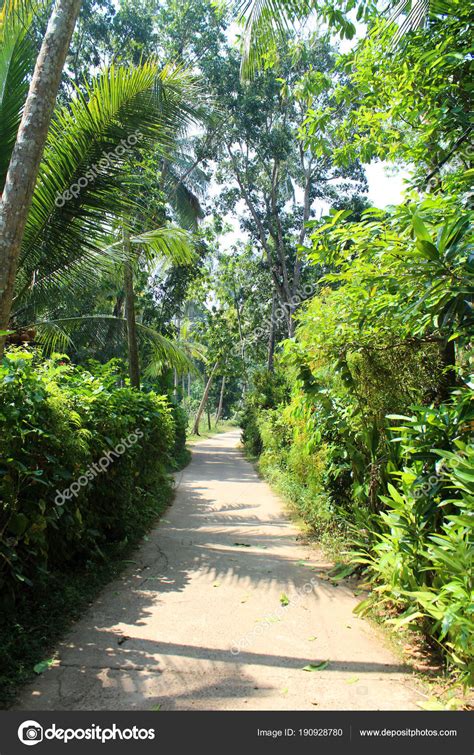 Person 的图像结果