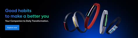 Back Alignment Exercises 的图像结果