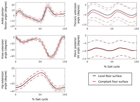 Effect of Aging on the Trunk and Lower Limb Kinematics during Gait on a ...