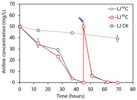 Identification of Aniline-Degrading Bacteria Using Stable Isotope ...