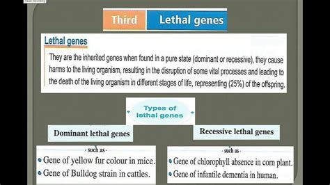 Image result for Complementary Genes