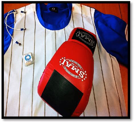 Automated Boxing Scoring System 的图像结果