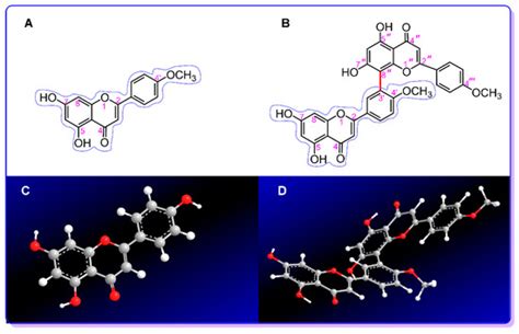 3′,8″-Dimerization Enhances the Antioxidant Capacity of Flavonoids ...