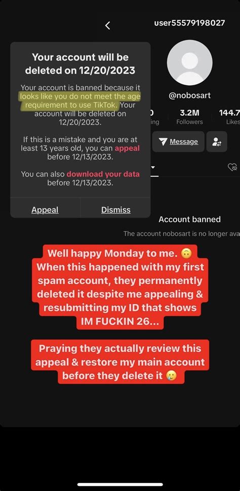 TikTok banned her main account because they think she’s underage : r/nobosart
