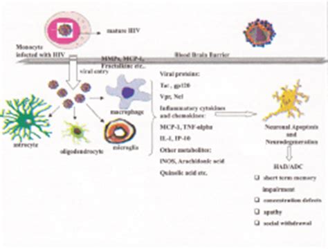 HIV-1 Associated Dementia In Pre And Post HAART Era | Vetrivel | Annals ...