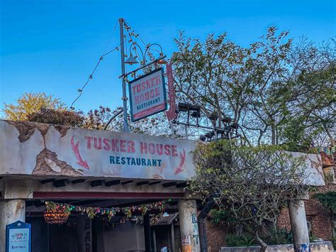 The Very Best Disney Animal Kingdom Restaurants Ranked