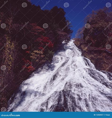 Autumnal Waterfall Tutorial 的图像结果