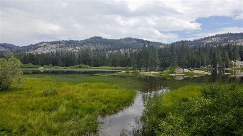 Pinecrest Campground Ca