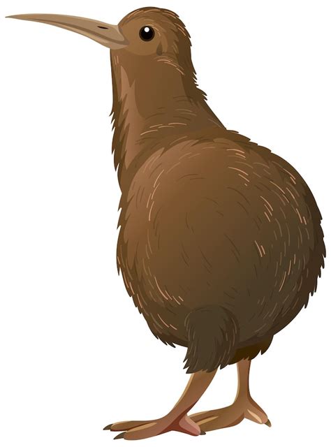 Kiwi bird character Images - Free Download on Freepik