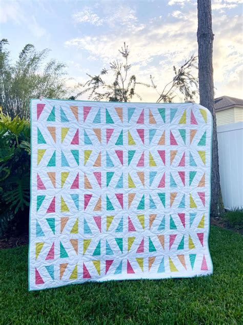 Using Minky for Quilt Backing 的图像结果