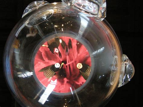 Katja Loher, ¿Por qué no creamos mas espacios para mariposas? Two ...