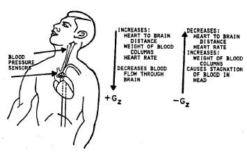 G-Force Comparison Chart 的图像结果