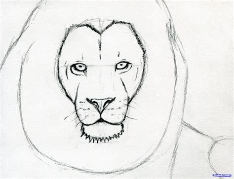 how to sketch a lion step 7 #stepbystepfacepainting | Lion face drawing ...
